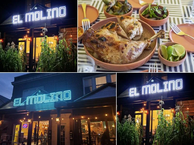 El Molino del Sureste business photo