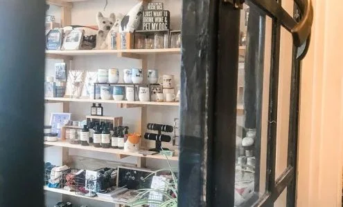 Zoomies Pet Cafe + Boutique business photo